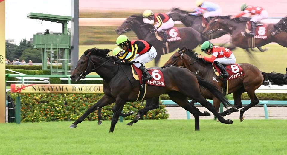 　セントライト記念を制したミュージアムマイル（撮影・持木克友）
