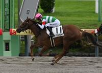 ６Ｒメイクデビュー中山を制したカリヨンアヴォン＝中山競馬場（撮影・持木克友）