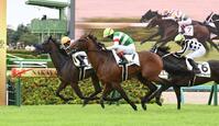５Ｒメイクデビュー中山を制したサンダーストラック⑦＝中山競馬場（撮影・持木克友）
