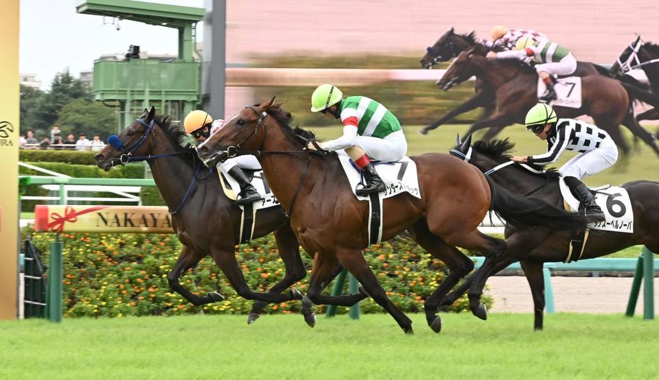 ５Ｒメイクデビュー中山を制したサンダーストラック⑦＝中山競馬場（撮影・持木克友）