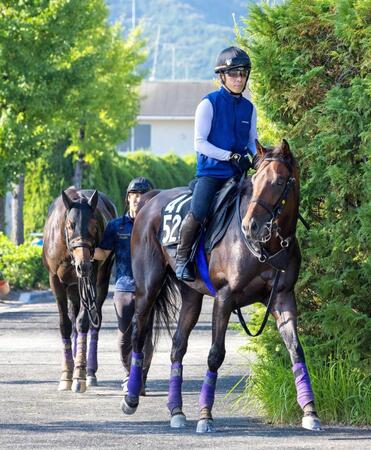 　同レースに出走するショウヘイ（左）とともに運動するライトトラック（撮影・石湯恒介）