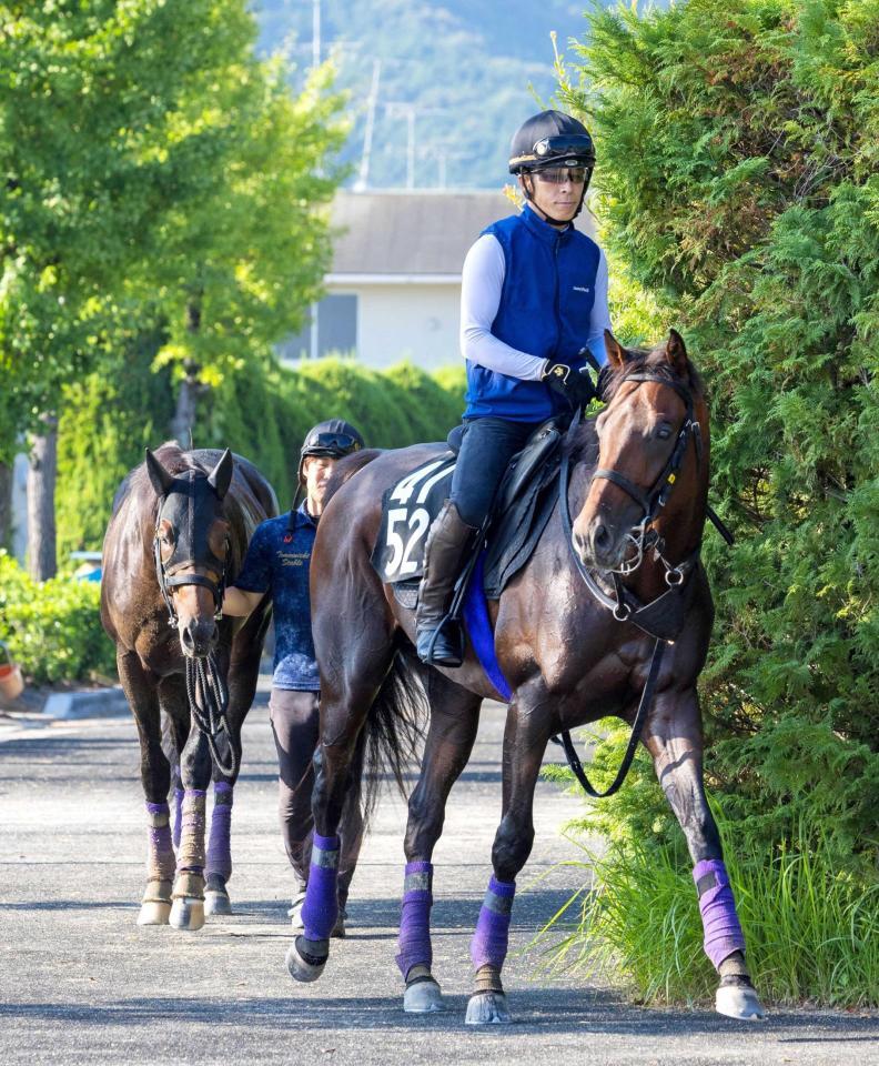 　同レースに出走するショウヘイ（左）とともに運動するライトトラック（撮影・石湯恒介）