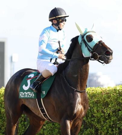 　京成杯ＡＨ２着のドロップオブライト＝９月６日