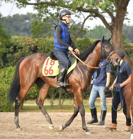 　初陣から期待される良血馬スイープセレニティ