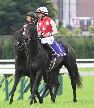 ２歳女王で桜花賞＆オークス２着馬アルマヴェローチェが左前浅屈腱炎で全治９カ月　秋華賞見送り休養へ
