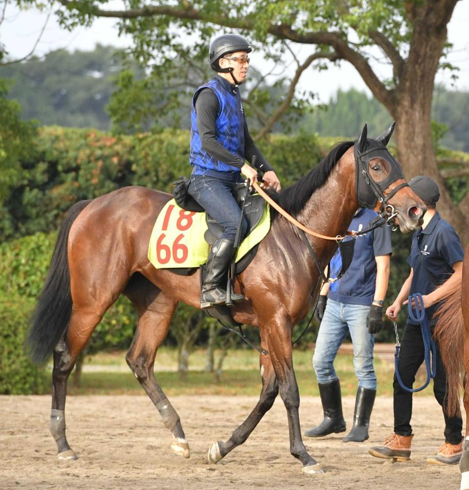 　初陣から期待される良血馬スイープセレニティ