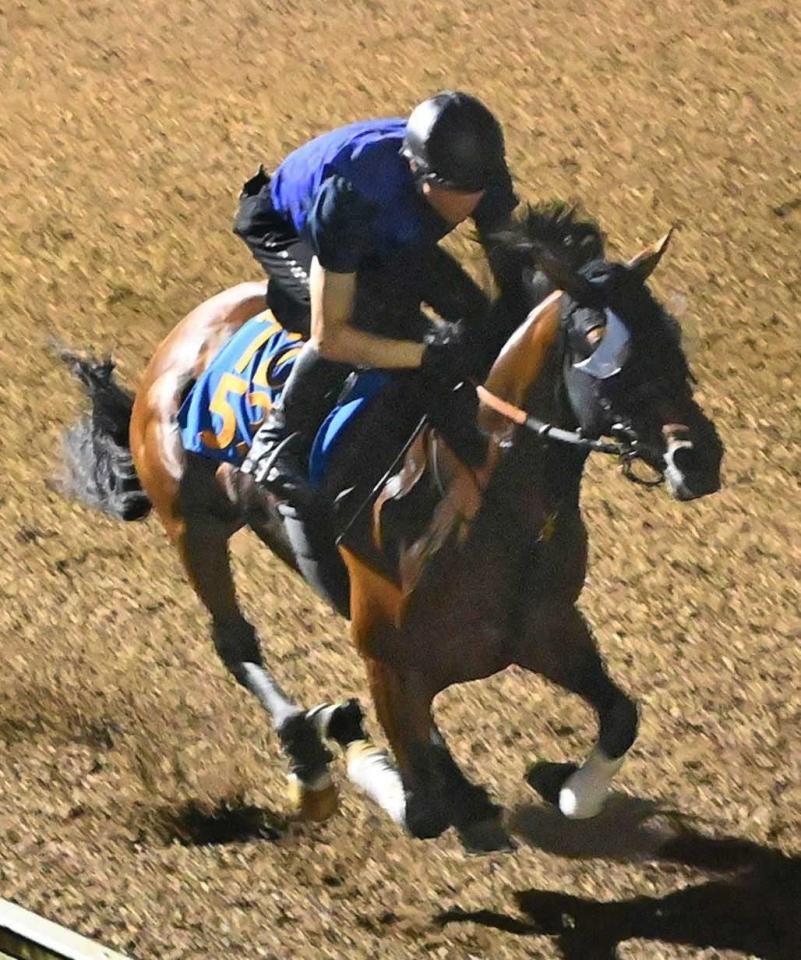 　力強い脚取りで登坂したドゥラドーレス（撮影・持木克友）