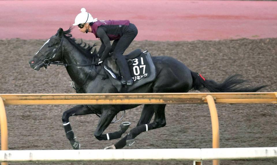 　躍動感あふれる走りで栗東ＣＷを駆け抜けたエリキング（撮影・中田匡峻）