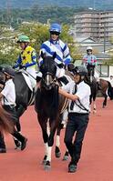 　新馬勝ちを飾った美容外科「高須クリニック」高須院長所有馬タカスタカスタカス