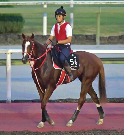 　シンエンペラー