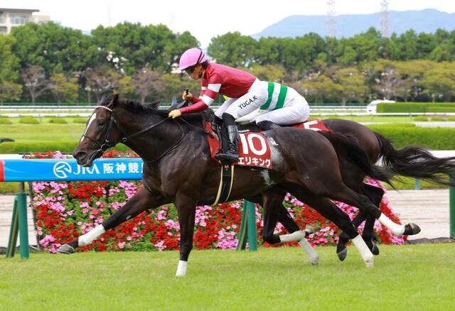 神戸新聞杯】2番人気エリキングが豪快差し切りVで重賞2勝目 鞍上の