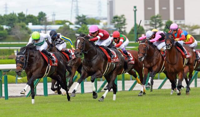 神戸新聞杯】2番人気エリキングが豪快差し切りVで重賞2勝目 鞍上の