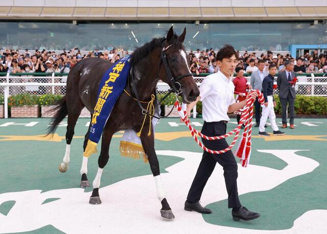 神戸新聞杯】2番人気エリキングが豪快差し切りVで重賞2勝目 鞍上の