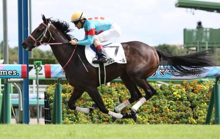 【新馬戦】フロレセール　悠々逃げ切りＶ　ルメールは余力たっぷりの勝利を高評価「スタートが良くて、マイペースで」