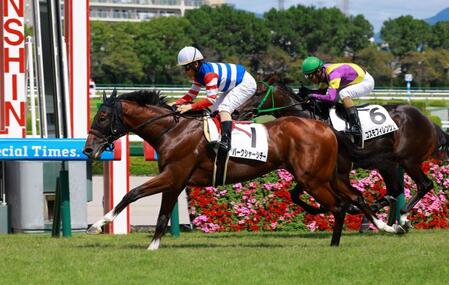 【新馬戦】バークシャーシチー　鮮やか外差しＶ　松若「直線はいい伸びでしたね」高杉の負傷で代役務める