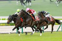 　外から差し切り、神戸新聞杯を制したエリキング（中央）＝撮影・石湯恒介