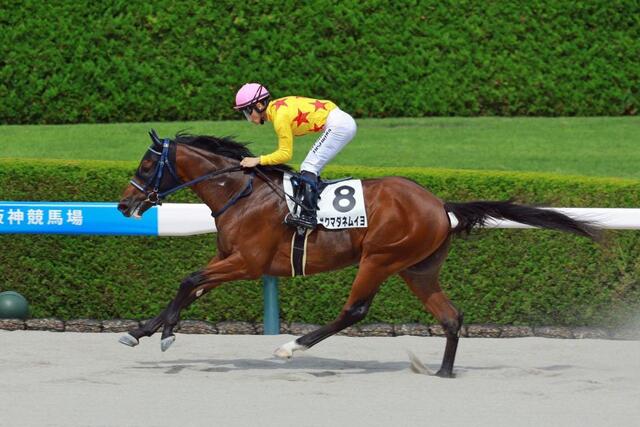 新馬戦】ボクマダネムイヨ 断トツの上がりで7馬身差圧勝 西村淳「最後