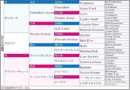 　カピリナの５代血統表