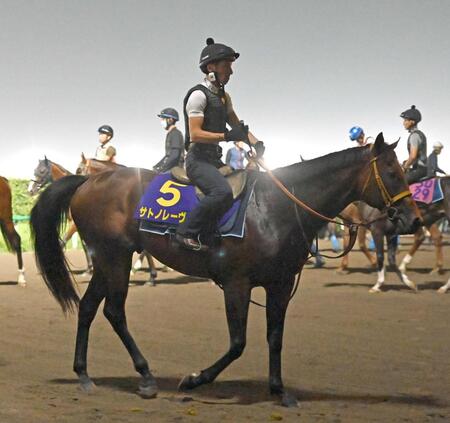 　春秋スプリントＧ１制覇を狙うサトノレーヴ