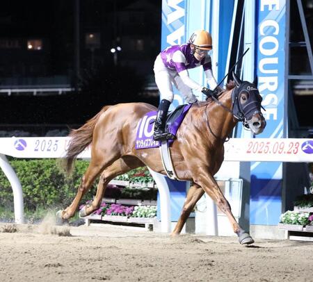 　テレ玉杯オーバルスプリントを制したサンライズフレイムと菱田裕二騎手