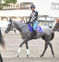 　厩舎ゆかりの血統でビッグタイトルを目指すカピリナ