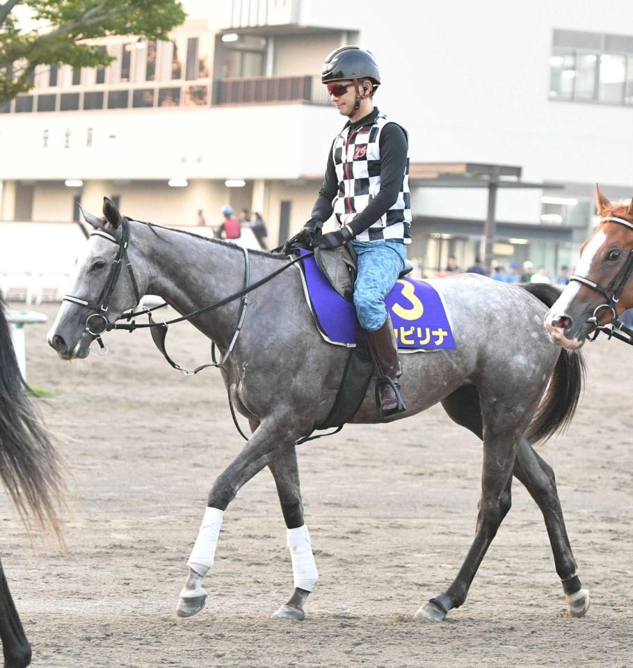 　厩舎ゆかりの血統でビッグタイトルを目指すカピリナ