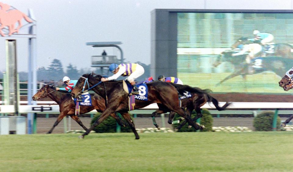 　１９９２年のスプリンターズステークスで１着になったニシノフラワー（手前）と２着のヤマニンゼファー（左）