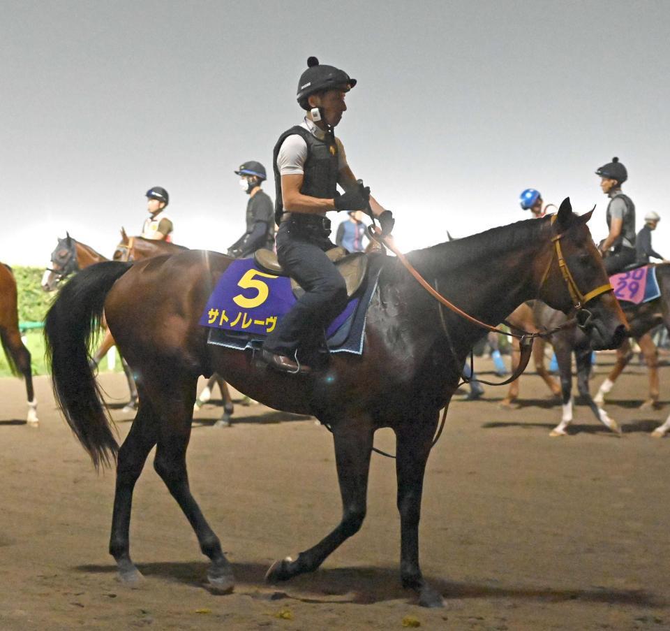 　春秋スプリントＧ１制覇を狙うサトノレーヴ