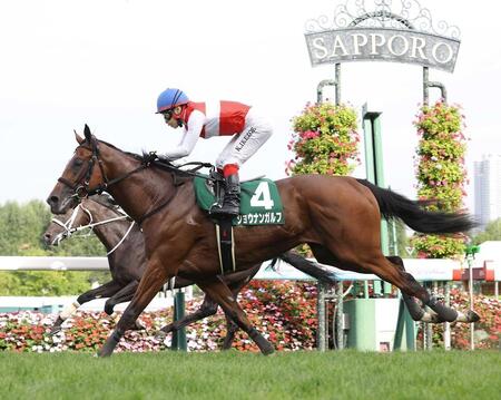 新馬戦&札幌2歳Sを連勝のショウナンガルフはホープフルSへ