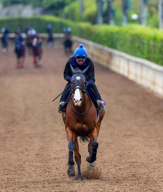 ◇ 競馬 JRA ◇ ママコチャ ◇ スプリンターズS ◇ 2種類