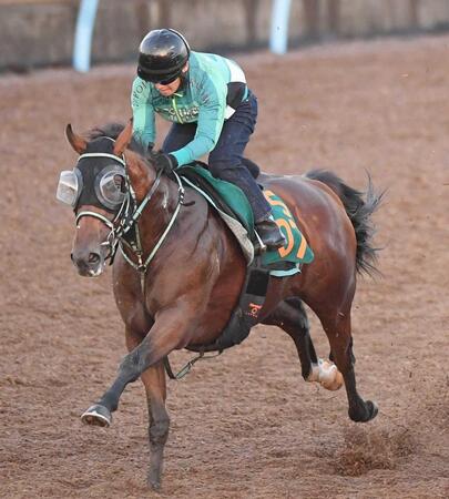 【新馬戦】エピックフライト　軽快な動きを披露　祖母はフサイチパンドラ、伯母はアーモンドアイの魅力的な血統