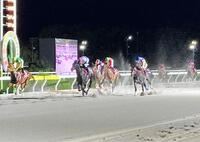 　本領発揮で重賞初制覇を果たしたロレンツォ（左から２頭目）＝撮影・中山伸治