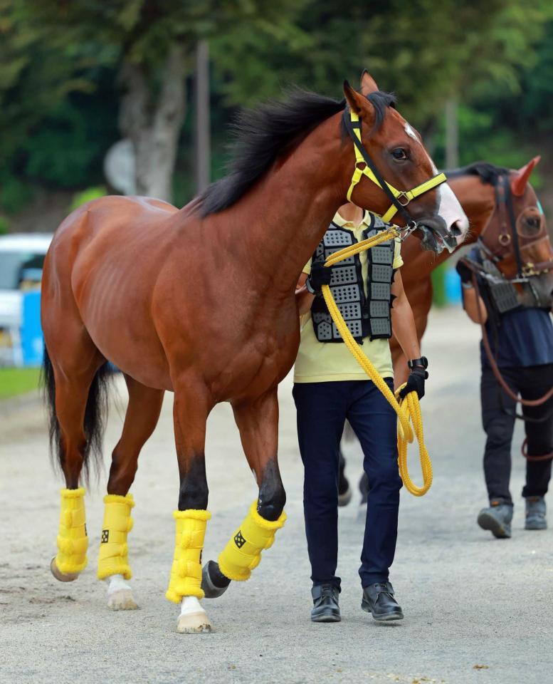 　快足発揮といきたいクラウンインジエア