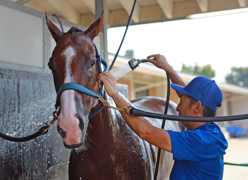 　２度目の制覇を狙うママコチャ