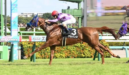 　９Ｒサフラン賞を制したアルバンヌ（撮影・持木克友）