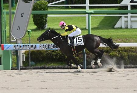 　４Ｒメイクデビュー中山を勝ったサノノアルペン（撮影・持木克友）