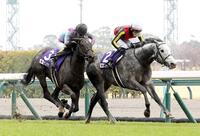 　高松宮記念を制した坂井騎乗のマッドクール。左は２着のナムラクレア＝２０２４年３月