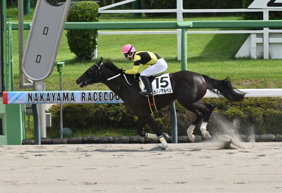 　４Ｒメイクデビュー中山を勝ったサノノアルペン（撮影・持木克友）