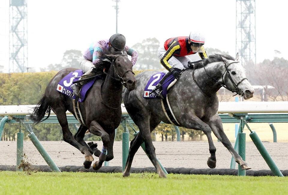 　高松宮記念を制した坂井騎乗のマッドクール。左は２着のナムラクレア＝２０２４年３月