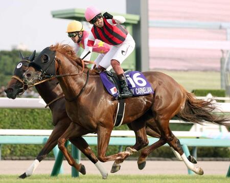 　激しい競り合いを制したウインカーネリアン（手前）とガッツポーズをする三浦