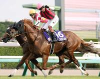 　激しい競り合いを制したウインカーネリアン（手前）とガッツポーズをする三浦