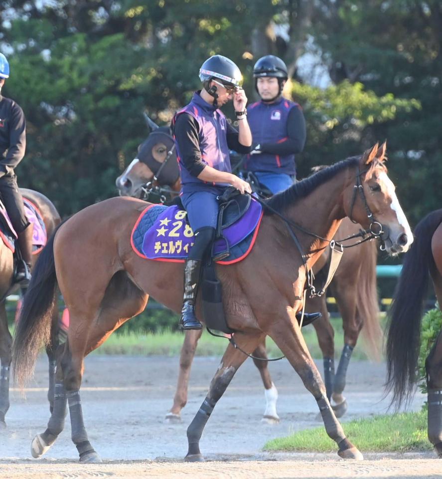 　好相性の東京で再始動するチェルヴィニア