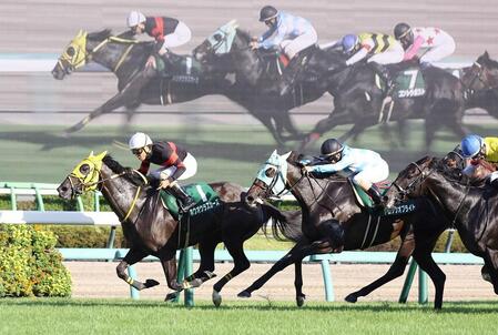 　京成杯ＡＨを制したホウオウラスカーズ（左）＝９月６日