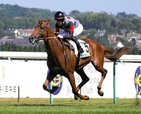 　ギヨームドルナノ賞を制したアロヒアリイ＝８月１６日（撮影・平松さとし）