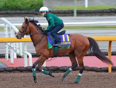 ベラジオオペラは12・14香港Cへ直行