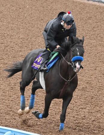 【京都大賞典】ドゥレッツァ迫力十分　Ｇ１制覇の地で久々Ｖだ　巻き返しへ尾関師「仕切り直しのレースとしてはいい」
