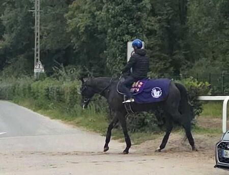 【凱旋門賞】クロワデュノール臨戦態勢 外枠の不利乗り越える 北村友「イメージをつくり替えないと」