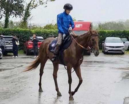 【凱旋門賞】状態良好のアロヒアリイ　道悪克服願う　田中博師「馬を信じるしかありません」