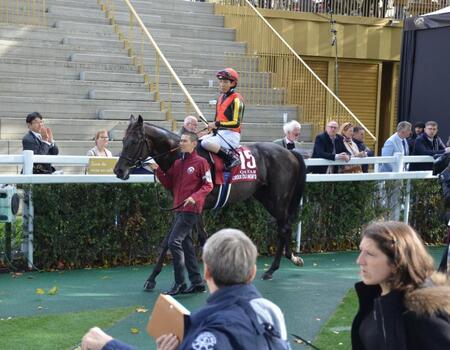 　凱旋門賞で１４着に敗れたクロワデュノール