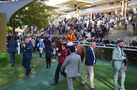 　凱旋門賞で５着だったビザンチンドリーム